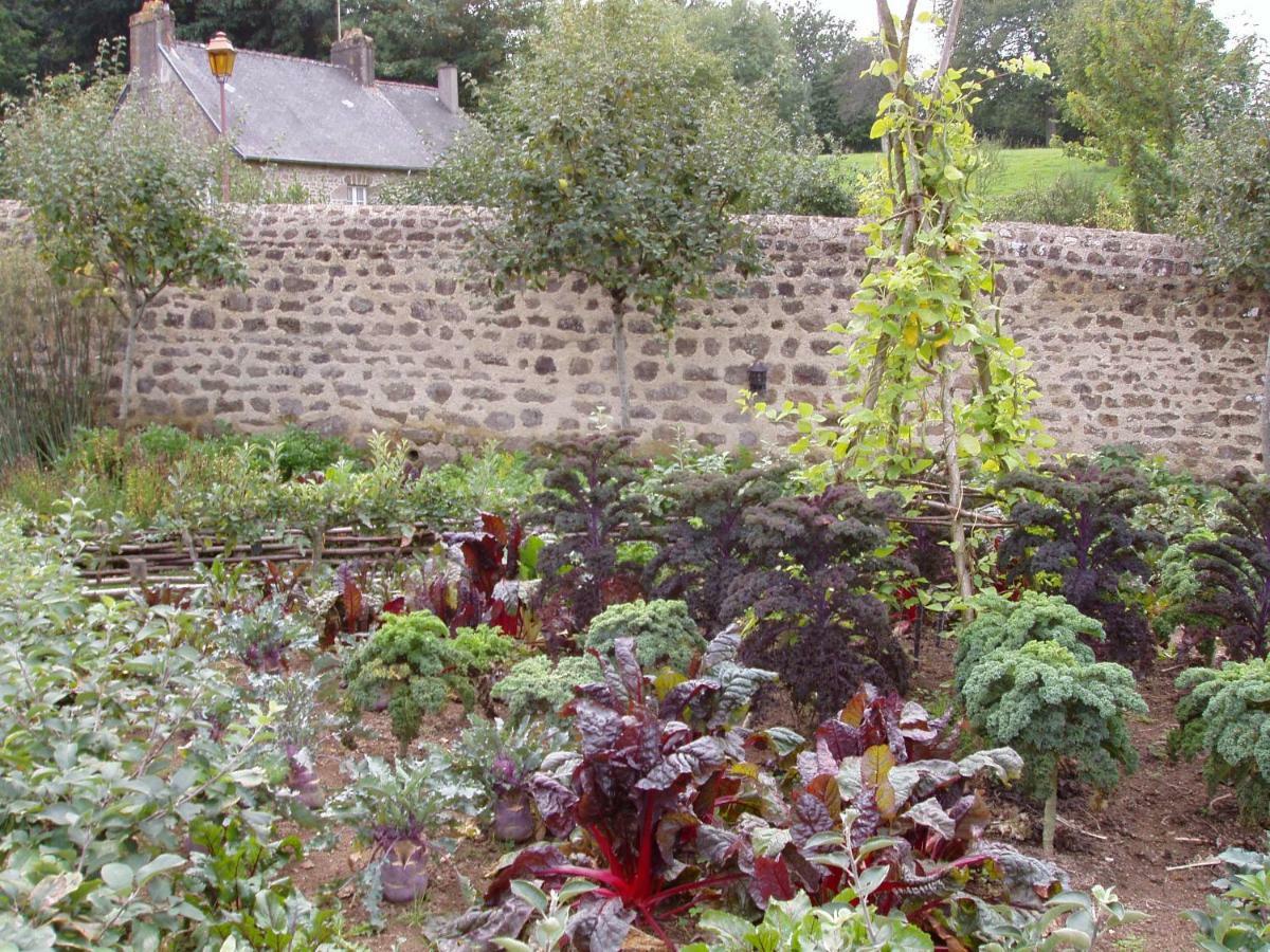 Chambres D'Hotes La Belle Taille Lassay-les-Chateaux Luaran gambar